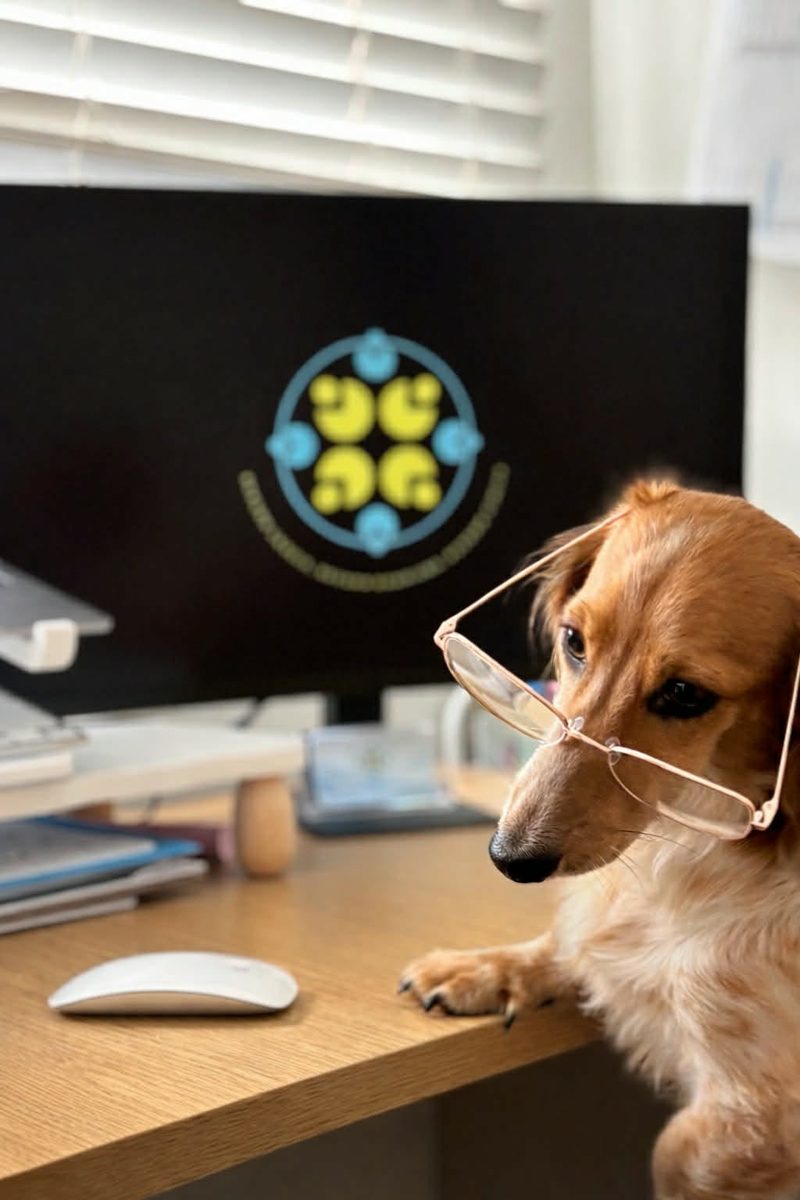 A dachshund wearing glasses at a desk in front of the BDE logo